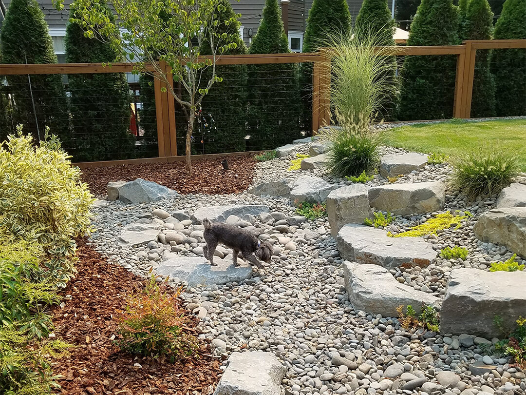 Dog Friendly Landscape Plans for Your Portland Home ...
